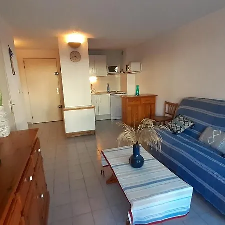 Archipel Iii Joli T2 Piscine Proche Richelieu Cap D'agde 公寓 阿格德