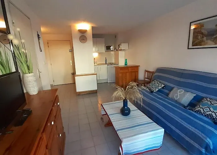 Archipel Iii Joli T2 Piscine Proche Richelieu Cap D'agde 公寓 阿格德